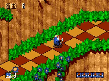 Sonic 3D Blast (USA) (Beta) screen shot game playing